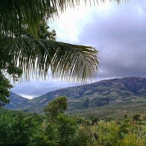 Meet your Posher, Rose